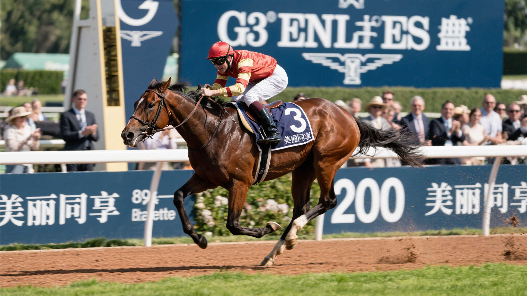 八岁战驹美丽同享绝尘而出，冲刺问鼎G3精英碟赛四冠王